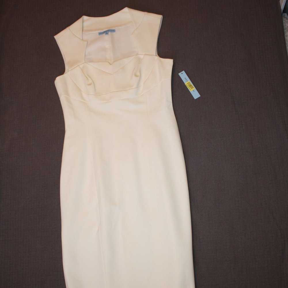 NWT Antonio Melani Dress